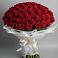 Букет 101 Красная роза Блэк Мэджик в Товарковский