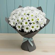 Букет цветов из:  Хризантемы #REPLACE_PRED# Товарковский