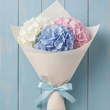 Букет цветов из:  Гортензия #REPLACE_PRED# Товарковский
