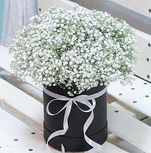 Цветочная композиция из Гипсофила в шляпной коробке #REPLACE_PRED# Товарковский
