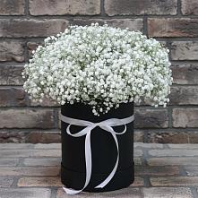 Цветочная композиция из Гипсофила в шляпной коробке в Товарковский