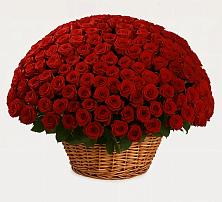 Премиум букет из: Розы в Товарковский